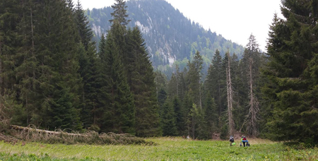 Stage de survie en pleine nature : vos avis